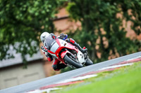 PJ-Motorsport-2019;anglesey;brands-hatch;cadwell-park;croft;donington-park;enduro-digital-images;event-digital-images;eventdigitalimages;mallory;no-limits;oulton-park;peter-wileman-photography;racing-digital-images;silverstone;snetterton;trackday-digital-images;trackday-photos;vmcc-banbury-run;welsh-2-day-enduro